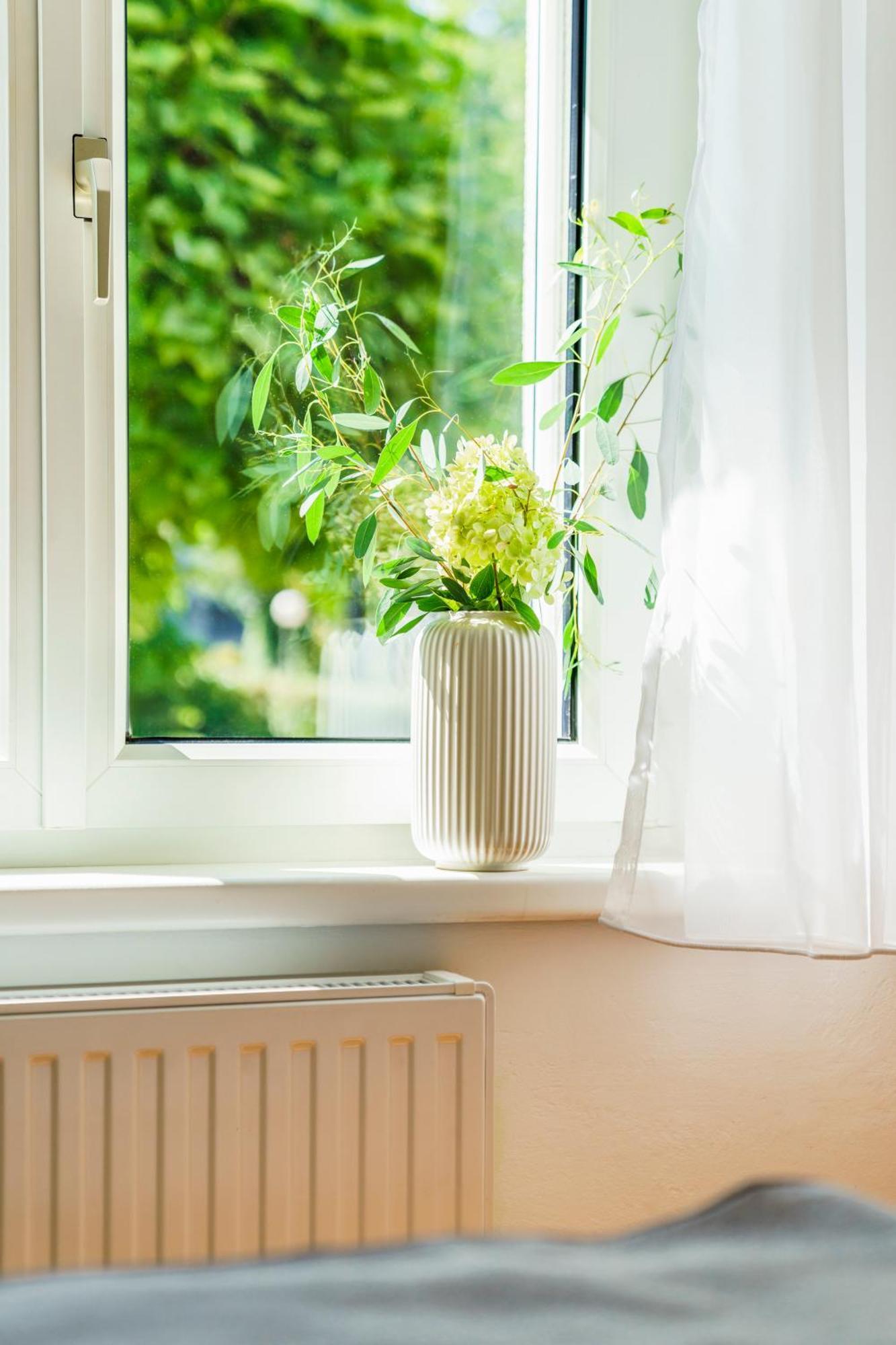 Apartment Bregenzer Traum Am Bodensee Inkl Fahrräder *